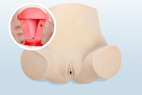 婦科上環、取環訓練模型